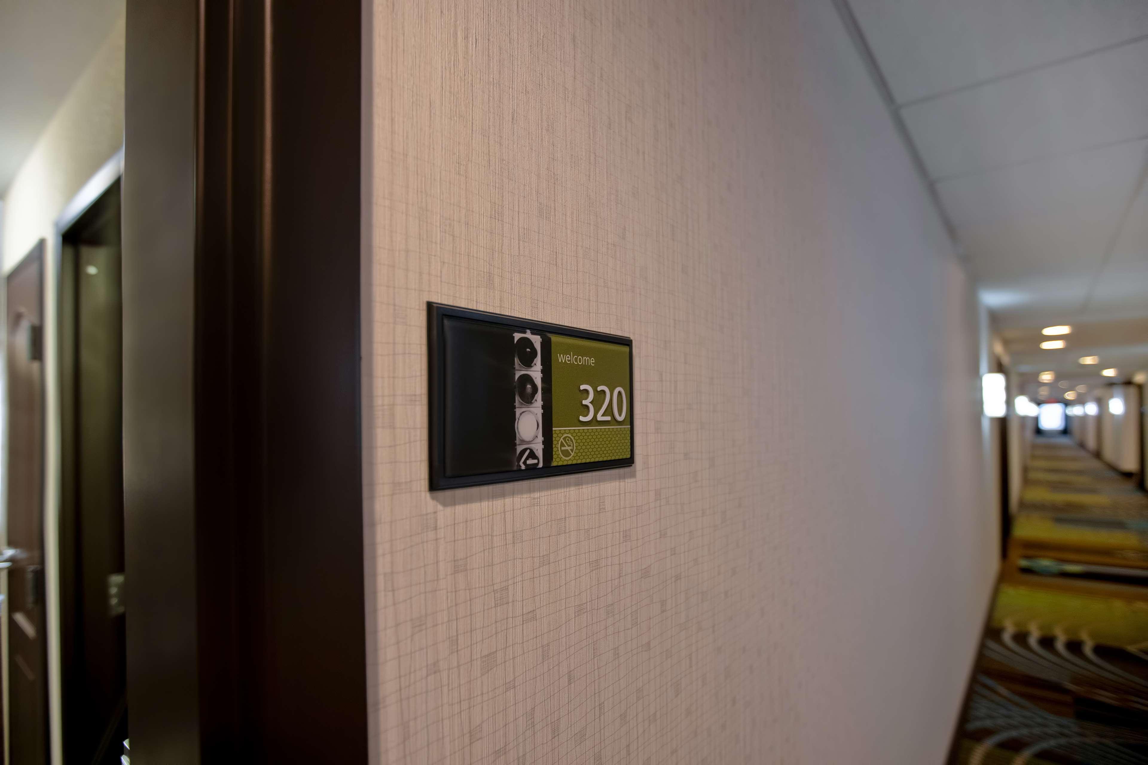 Hampton Inn Dekalb - Near The University Eksteriør billede