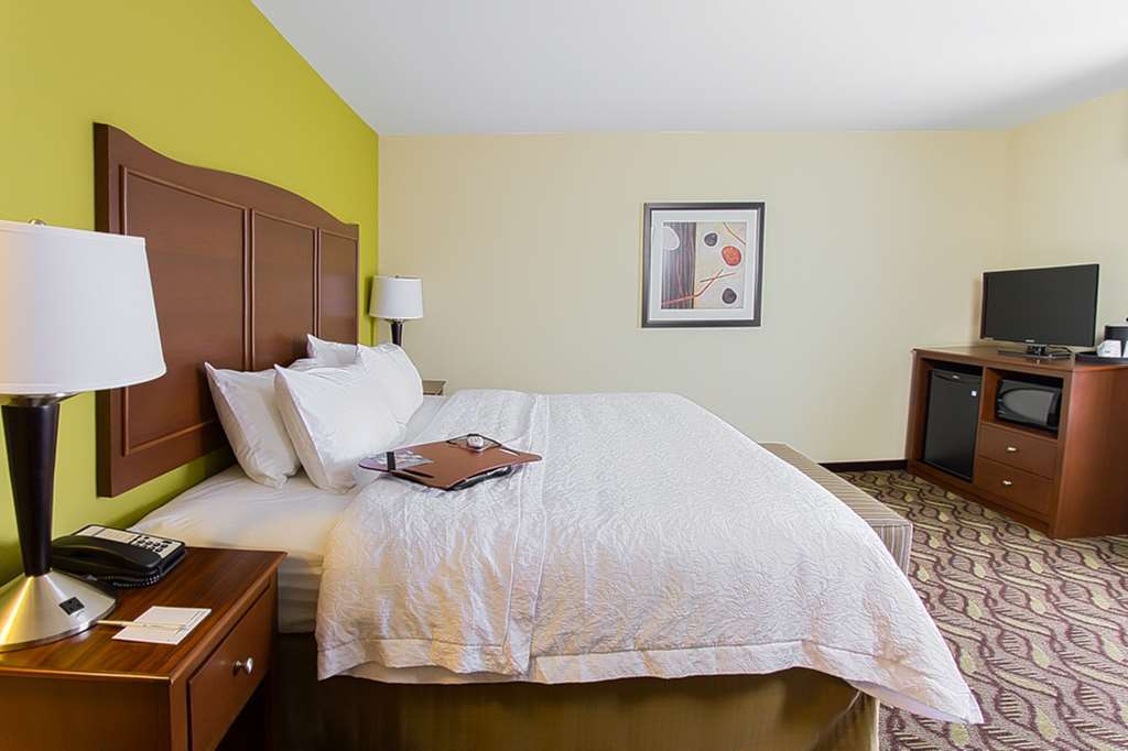 Hampton Inn Dekalb - Near The University Værelse billede